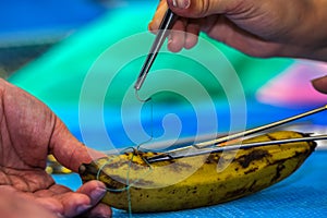 Trainee doctors are practicing with surgical cutlery