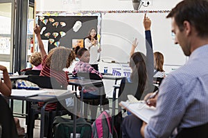 Trainee teacher learning how teach elementary students