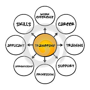 Traineeship - period when someone is trained in the skills needed for a particular job, mind map concept for presentations and