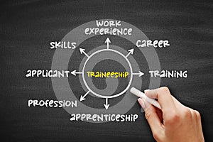 Traineeship - period when someone is trained in the skills needed for a particular job, mind map concept for presentations and
