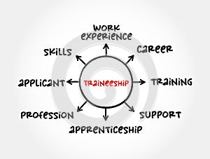 Traineeship - period when someone is trained in the skills needed for a particular job, mind map concept for presentations and