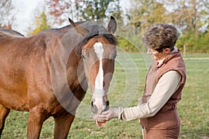 Trainer Feeding Horse