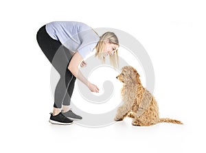 Trainer woman with his Golden Labradoodle dog isolated on white background