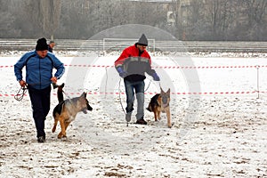 Trainers with Alsatian dogs