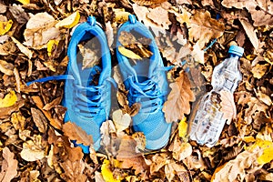 Trainers and water bottle on colorful leaves on the ground.
