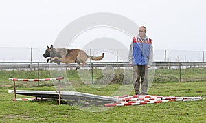 training of belgian shepherd