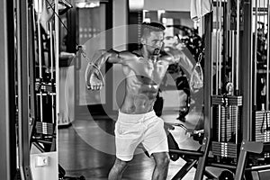 Training in bodybuilding. muscular man training in gym