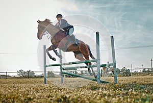 Training, competition and woman on a horse for sports, an event or show on a field in Norway. Jump, action and girl