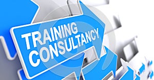 Training Consultancy - Label on Blue Pointer. 3D.