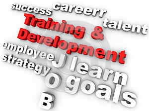 Training & Development