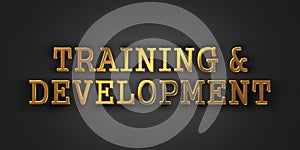 Training and Development. Business Concept.