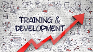 Training And Development Drawn on White Brickwall. 3D.