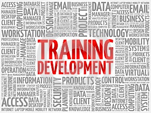 Training development word cloud