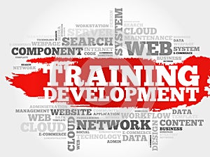 Training development word cloud