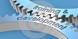 Training and development word on gears