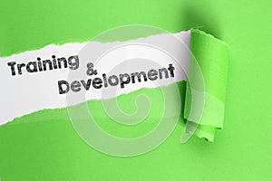 Training and Development