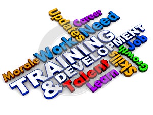 Training and development words photo