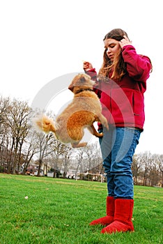 Training a dog to jump