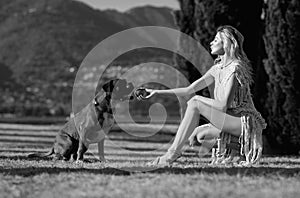 Training dogs. Woman play with Boxer dog. Young girl throwing ball to boxer dog. Dogs tries to catch ball. Woman playing