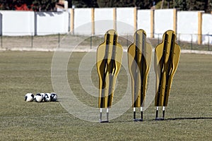 Training free kick mannequin