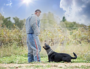 Training of french shepherd