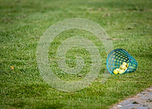 Training golf ball basket for training