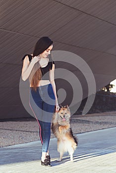 Training a grown-up dog to walk on two legs