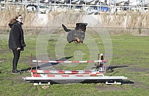 training of jumping