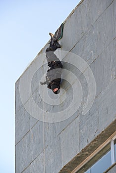 Training of police special forces