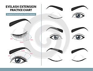 Training Poster, Practice Chart. Density of Eyelash Extension for Great Look. Eyelash Extension Guide. Infographic Vector