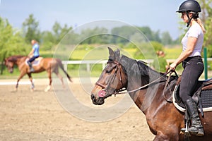 Training in the riding school, riders and horses