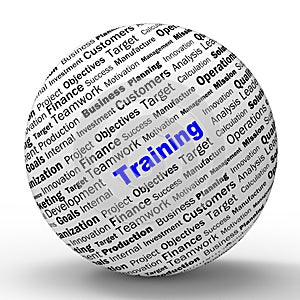 Training Sphere Definition Shows Instructing Or