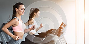 Training together. Women doing cardio workout, copy space