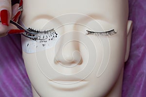 Training a young master to build eyelashes on a silicone mannequin. Work with tweezers, volume shaping, correction, care and remov