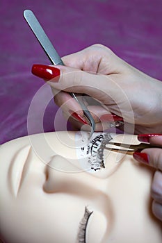 Training a young master to build eyelashes on a silicone mannequin. Work with tweezers, volume shaping, correction, care and remov