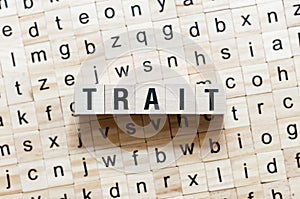 Trait word concept on cubes