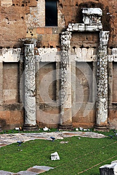 Trajan`s Forum in Rome