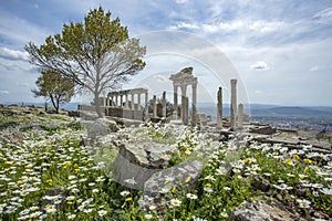 Trajan Temple columns in ancient city of Pergamon, Turkey