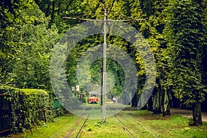 Tram line runs in the thickets of trees. Old red tram at the perspective distance.