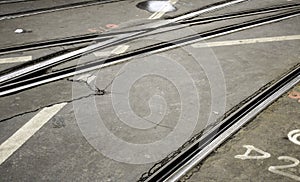 Tram lines