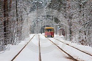 Tram number 12 on the route in a snow-covered forest in Kyiv. Ukraine