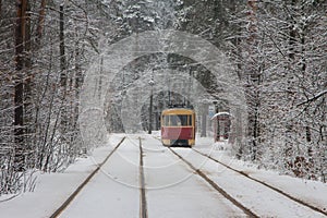 Tram number 12 on the route in a snow-covered forest in Kyiv. Ukraine