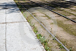 Tram rail among green grass close up