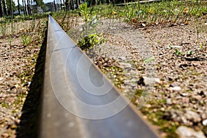 Tram rail among green grass close up