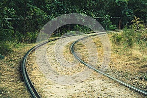 Tram rails along the green trees