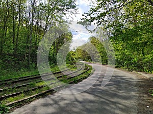 Tram rails and car road in green spring forest