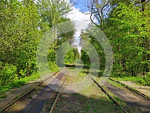 Tram rails in green spring forest at day