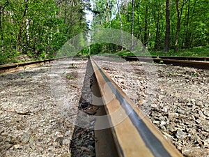 Tram rails in green spring forest at day