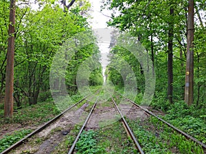 Tram rails in green spring forest at day