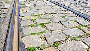 Tram rails and rectangular and square cobbles stones with grass